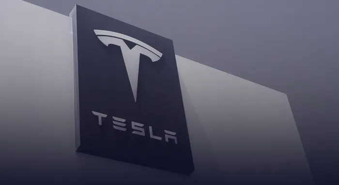 Tesla Survival Story