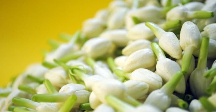 Flower Knotting Business Ideas Tamil